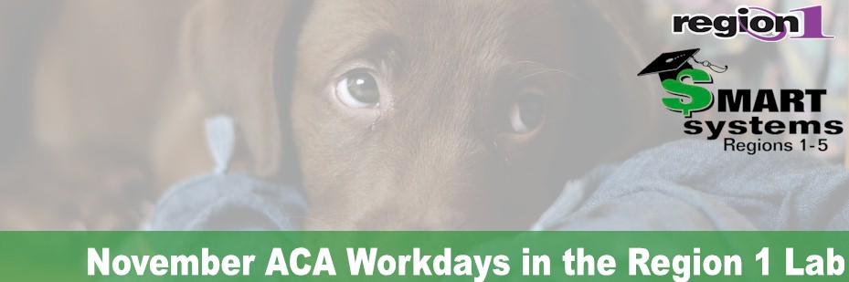 November ACA Workdays in the Region 1 Lab
